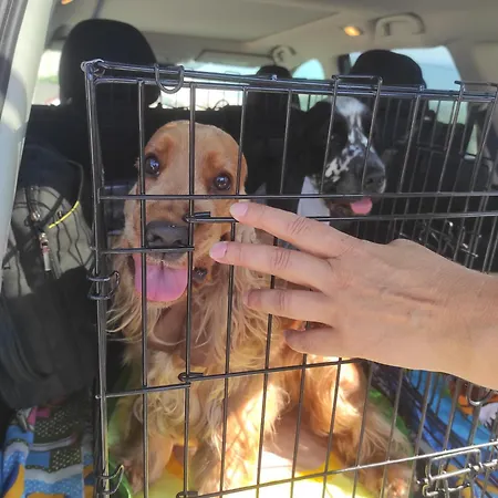 Casa de hóspedes ваканционни къщи'на брега' On The Coast