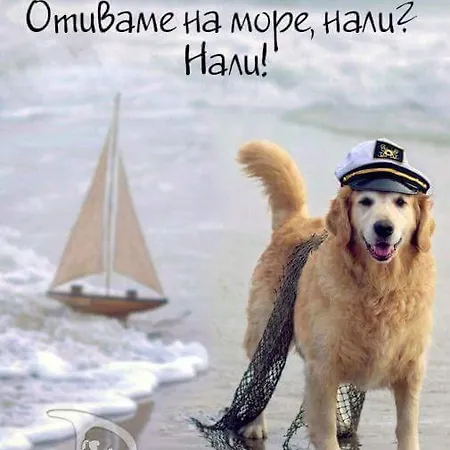ваканционни къщи'на брега' On The Coast Gæstehus Varna